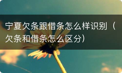 宁夏欠条跟借条怎么样识别（欠条和借条怎么区分）