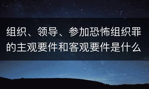 组织、领导、参加恐怖组织罪的主观要件和客观要件是什么