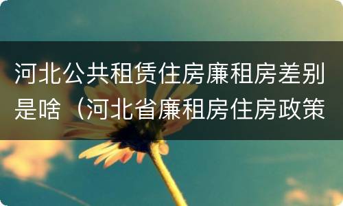 河北公共租赁住房廉租房差别是啥（河北省廉租房住房政策）