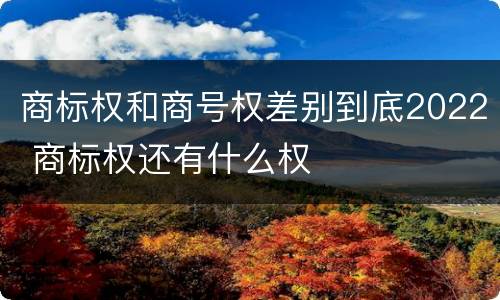 商标权和商号权差别到底2022 商标权还有什么权