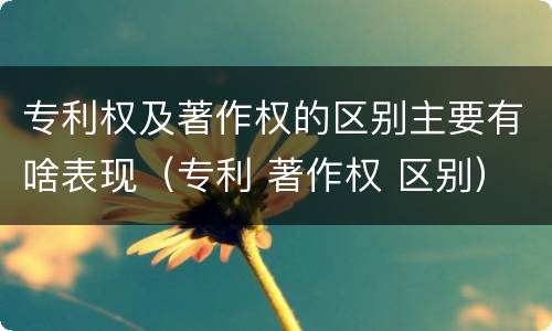 专利权及著作权的区别主要有啥表现（专利 著作权 区别）