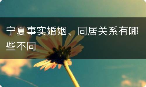 宁夏事实婚姻、同居关系有哪些不同