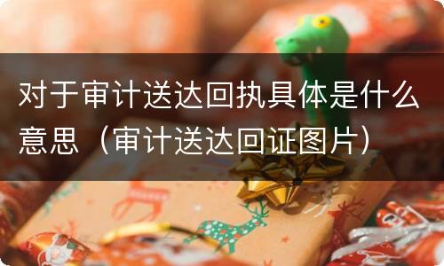 对于审计送达回执具体是什么意思（审计送达回证图片）