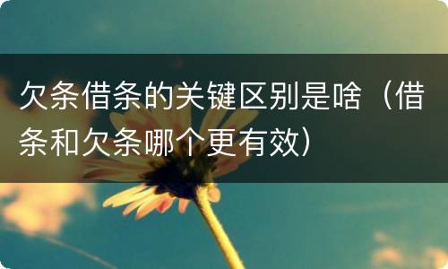 欠条借条的关键区别是啥（借条和欠条哪个更有效）
