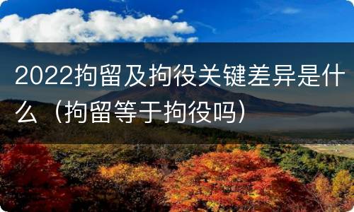 2022拘留及拘役关键差异是什么（拘留等于拘役吗）