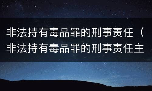 非法持有毒品罪的刑事责任（非法持有毒品罪的刑事责任主体）