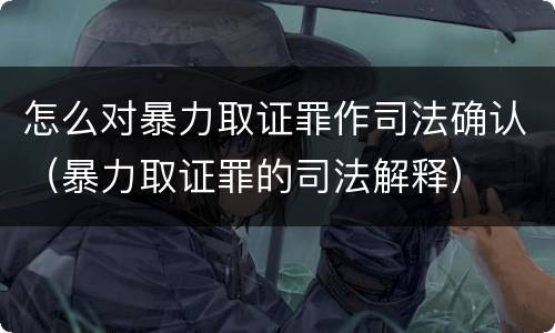怎么对暴力取证罪作司法确认（暴力取证罪的司法解释）