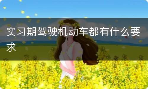 实习期驾驶机动车都有什么要求