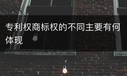 专利权商标权的不同主要有何体现