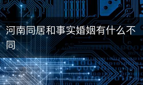 河南同居和事实婚姻有什么不同