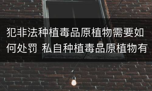 犯非法种植毒品原植物需要如何处罚 私自种植毒品原植物有什么罪?