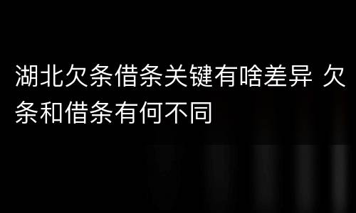 湖北欠条借条关键有啥差异 欠条和借条有何不同