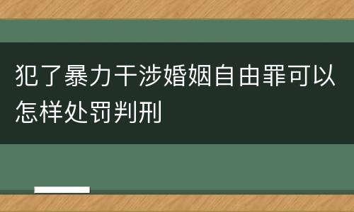 犯了暴力干涉婚姻自由罪可以怎样处罚判刑