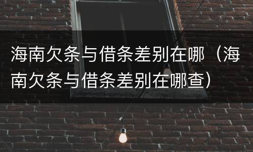 海南欠条与借条差别在哪（海南欠条与借条差别在哪查）