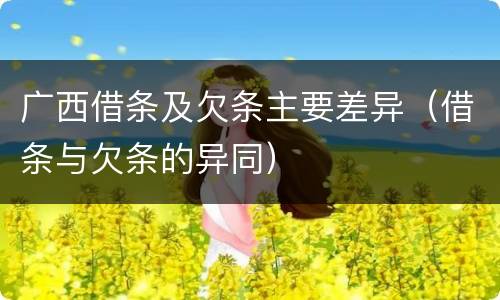 广西借条及欠条主要差异（借条与欠条的异同）