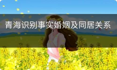 青海识别事实婚姻及同居关系