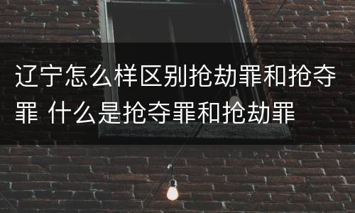辽宁怎么样区别抢劫罪和抢夺罪 什么是抢夺罪和抢劫罪