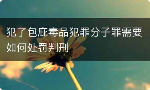 犯了包庇毒品犯罪分子罪需要如何处罚判刑