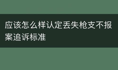 应该怎么样认定丢失枪支不报案追诉标准