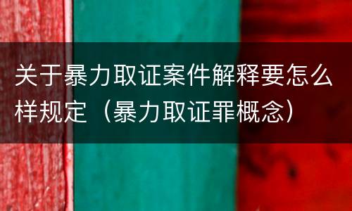 关于暴力取证案件解释要怎么样规定（暴力取证罪概念）