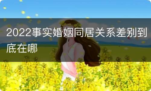 2022事实婚姻同居关系差别到底在哪