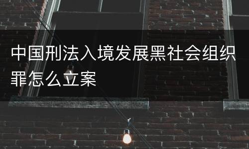 中国刑法入境发展黑社会组织罪怎么立案