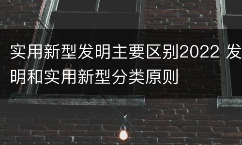 实用新型发明主要区别2022 发明和实用新型分类原则