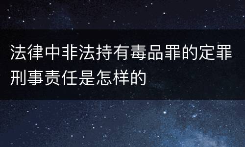法律中非法持有毒品罪的定罪刑事责任是怎样的