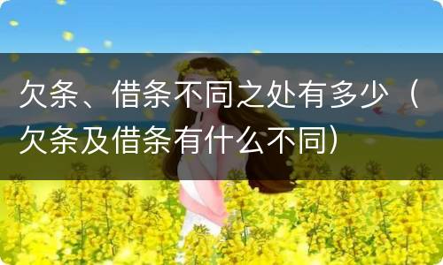 欠条、借条不同之处有多少（欠条及借条有什么不同）