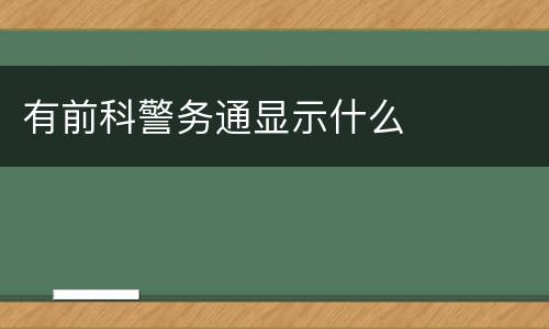 有前科警务通显示什么