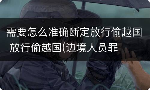 需要怎么准确断定放行偷越国 放行偷越国(边境人员罪