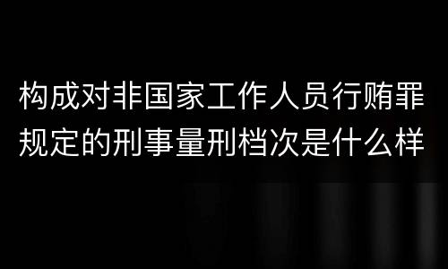 构成对非国家工作人员行贿罪规定的刑事量刑档次是什么样的