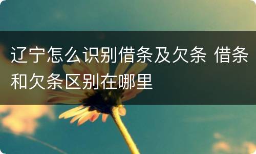 辽宁怎么识别借条及欠条 借条和欠条区别在哪里