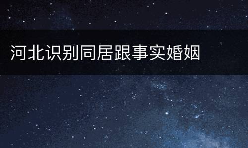 河北识别同居跟事实婚姻