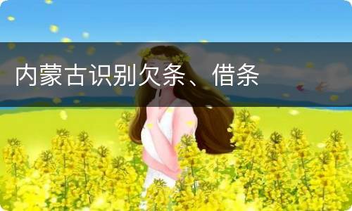内蒙古识别欠条、借条