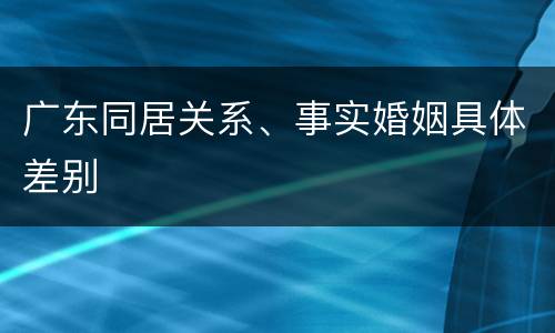 广东同居关系、事实婚姻具体差别