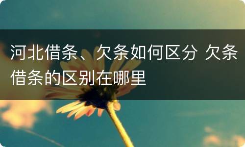 河北借条、欠条如何区分 欠条借条的区别在哪里