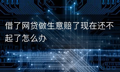 借了网贷做生意赔了现在还不起了怎么办