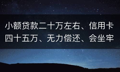 小额贷款二十万左右、信用卡四十五万、无力偿还、会坐牢