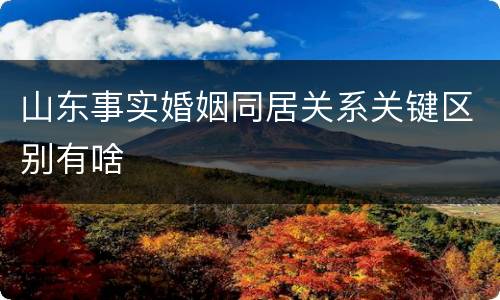 山东事实婚姻同居关系关键区别有啥