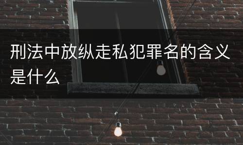 刑法中放纵走私犯罪名的含义是什么