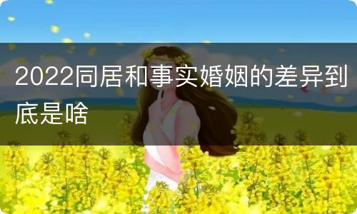 2022同居和事实婚姻的差异到底是啥