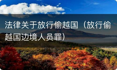 法律关于放行偷越国（放行偷越国边境人员罪）