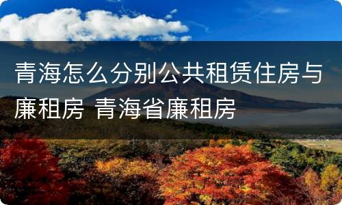 青海怎么分别公共租赁住房与廉租房 青海省廉租房