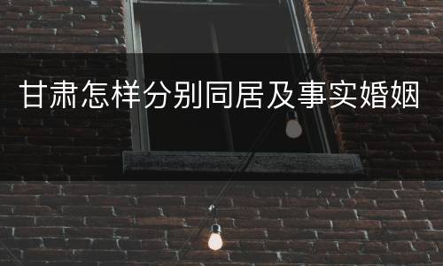 甘肃怎样分别同居及事实婚姻