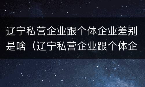 辽宁私营企业跟个体企业差别是啥（辽宁私营企业跟个体企业差别是啥呀）