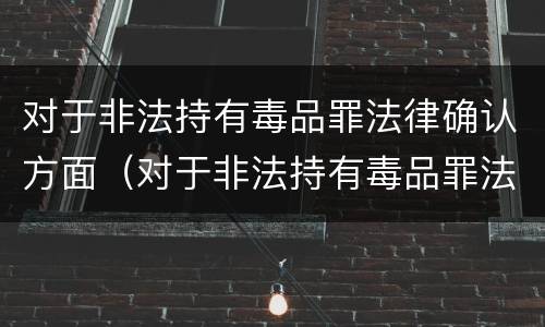 对于非法持有毒品罪法律确认方面（对于非法持有毒品罪法律确认方面的规定）