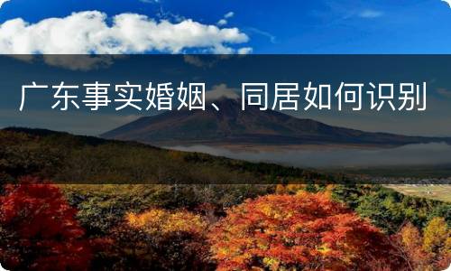 广东事实婚姻、同居如何识别
