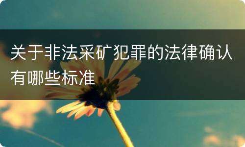 关于非法采矿犯罪的法律确认有哪些标准