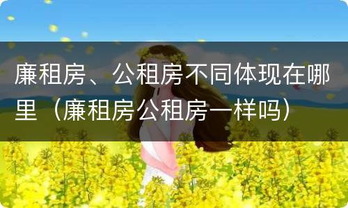 廉租房、公租房不同体现在哪里（廉租房公租房一样吗）